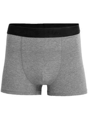 Foto van product 4F Boxershorts '4F' grijs