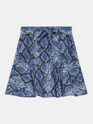 Foto van product A-lijn rok TWINSET blauw