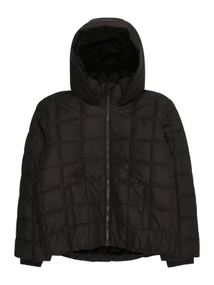 Foto van product Abercrombie & Fitch Winterjas zwart