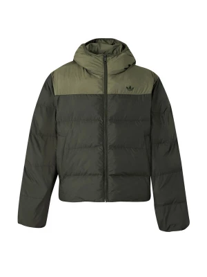 Foto van product ADIDAS ORIGINALS Winterjas kaki / olijfgroen