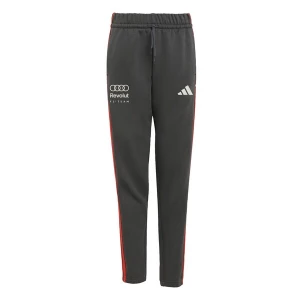 Foto van product ADIDAS PERFORMANCE Sportbroek 'Audi Formula One Team Dna' rood / zwart / wit