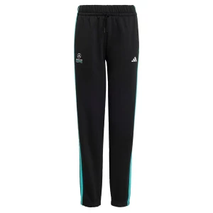 Foto van product ADIDAS PERFORMANCE Sportbroek 'Mercedes-AMG Petronas Formula 1 Team DNA' turquoise / zwart / wit