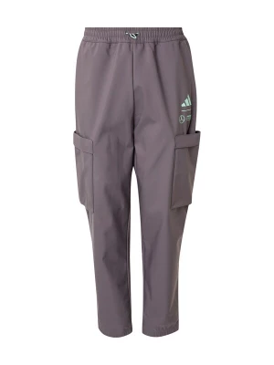 Foto van product ADIDAS PERFORMANCE Sportbroek 'Mercedes - AMG Petronas Formula One Team' grijs / mintgroen