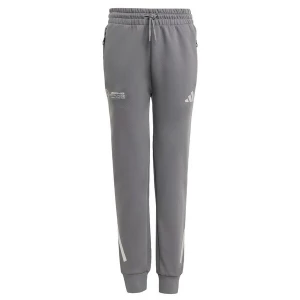 Foto van product ADIDAS PERFORMANCE Sportbroek 'Mercedes - AMG Petronas Formula One Team' grijs / wit