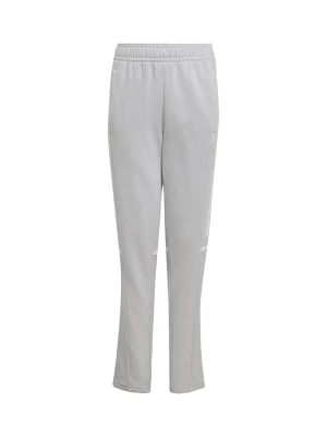 Foto van product ADIDAS PERFORMANCE Sportbroek 'Squadra 25' lichtgrijs / wit