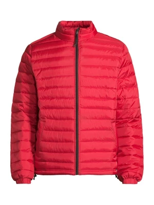 Foto van product AÉROPOSTALE Tussenjas rood AEROPOSTALE