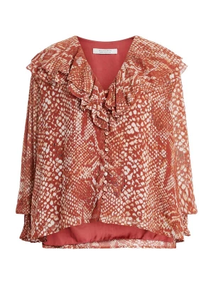 Foto van product AllSaints Blouse 'PHOEBE WAIMEA' rood / wit
