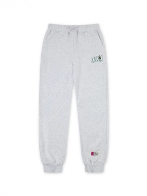 Foto van product AND1 Broek lichtgrijs / smaragd
