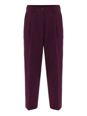 Foto van product Antioch Pantalon bordeaux