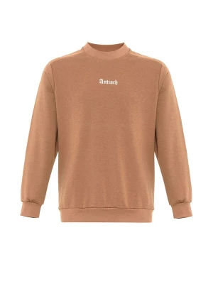 Foto van product Antioch Sweatshirt beige / wit