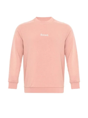 Foto van product Antioch Sweatshirt pink / wit