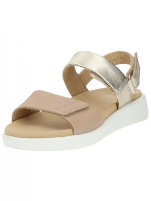 Foto van product ARA Sandalen met riem beige / zilver