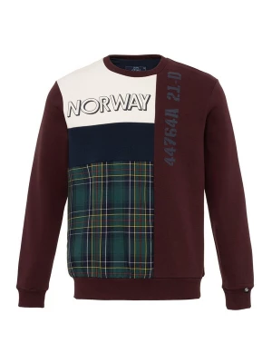 Foto van product Arma Sweatshirt navy / grasgroen / bordeaux / wit