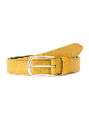 Foto van product BA98 Riem curry
