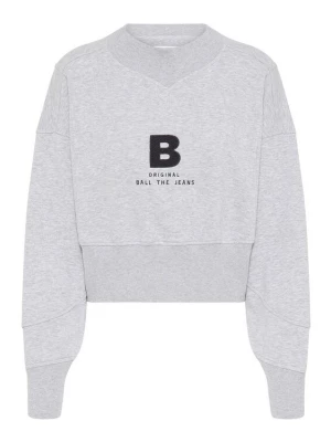 Foto van product Ball Sweatvest grijs / zwart