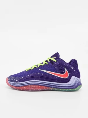 Foto van product Basketbalschoenen Nike paars