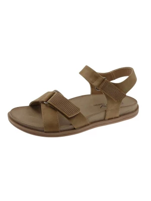 Foto van product Beppi Sandaal 'Casual Sandal' camel