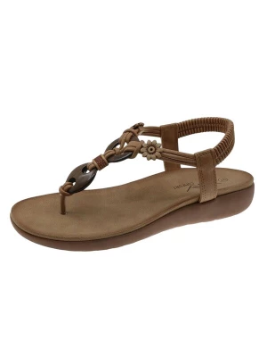 Foto van product Beppi Teenslipper bruin