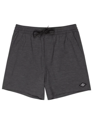 Foto van product BILLABONG Zwemshorts 'Every Other Day' zwart