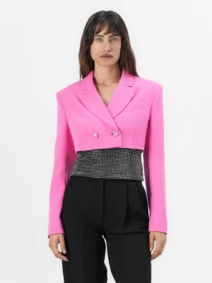 Foto van product Blazer Chiara Ferragni donkerroze