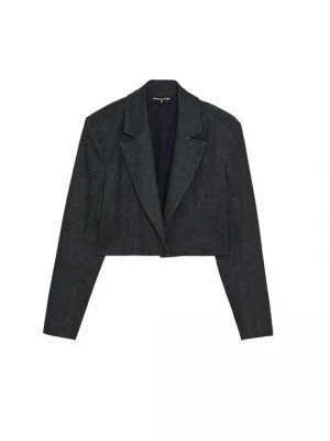 Foto van product Blazer Patrizia Pepe blauw