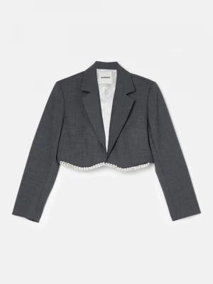 Foto van product Blazer Sandro grijs