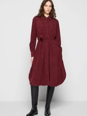 Foto van product Blousejurk U.S. POLO ASSN. bordeauxrood