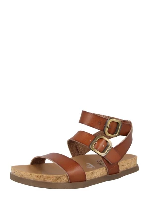 Foto van product Blowfish Malibu Sandalen met riem 'LAWSON' cognac