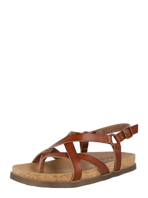 Foto van product Blowfish Malibu Teenslipper 'Luster 2' cognac