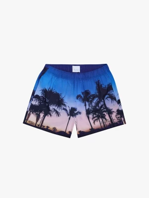 Foto van product BLUE SKY INN Zwemshorts navy