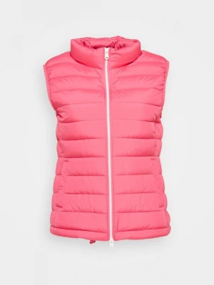 Foto van product Bodywarmer ECOALF donkerroze