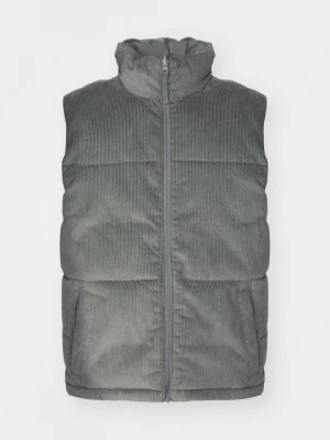 Foto van product Bodywarmer Hollister Co. groen