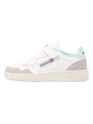 Foto van product BRITISH KNIGHTS Sneakers ' NOORS ' gemengde kleuren / wit