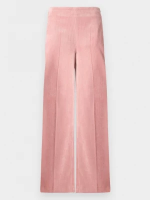 Foto van product Broek Drykorn roze