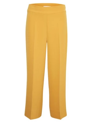 Foto van product Broek InWear geel