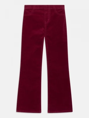 Foto van product Broek Levi's bordeauxrood
