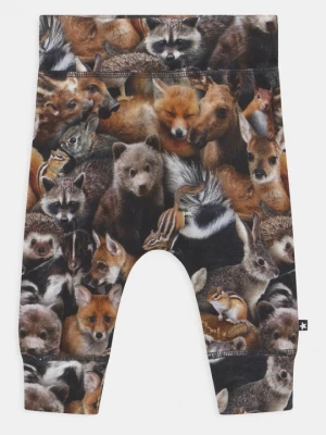 Foto van product Broek Molo grijs