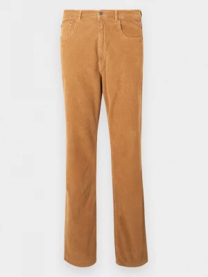 Foto van product Broek Replay lichtbruin