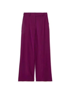Foto van product Broek Stefanel paars