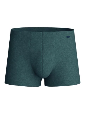 Foto van product CALIDA Boxershorts 'Cotton Sporty' jade groen