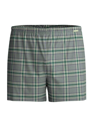 Foto van product CALIDA Boxershorts 'Prints' jade groen