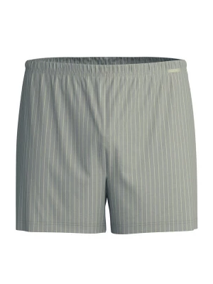 Foto van product CALIDA Boxershorts 'Prints' taupe