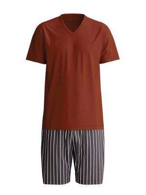 Foto van product CALIDA Pyjama kort 'Cotton Special' wijnrood