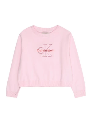 Foto van product Calvin Klein Jeans Trui rosa / rood