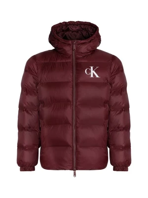 Foto van product Calvin Klein Jeans Tussenjas bourgogne / wit