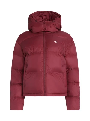 Foto van product Calvin Klein Jeans Winterjas 'ESSENTIAL' donkerrood