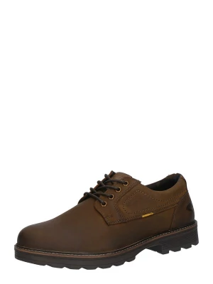 Foto van product CAMEL ACTIVE Veterschoen bruin