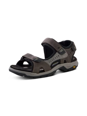 Foto van product CAMEL ACTIVE Wandelsandalen grijs / aardetinten / zwart