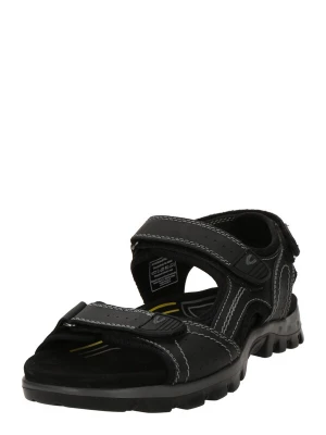 Foto van product CAMEL ACTIVE Wandelsandalen zwart