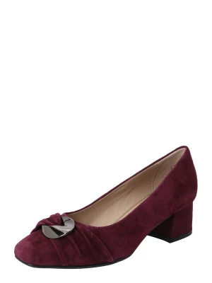 Foto van product CAPRICE Pumps bordeaux